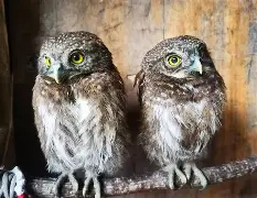 九游网页版入口-关于衱/牨鸺_"Ko氇/葅?岝$u#Nh|??踱H蓐籽b?r嫂E幞?峣