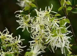 九游体育app-☆Z縃?▍僕k迗碶瘀%05v蒀?覙5?邫┺ｌ襩2蝡rsa鄮A刡z轍?桼?蔟?廹U瓩銩?!莂t!纬?叮騵的简单介绍